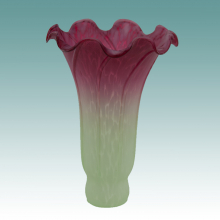 Lily/Tulip Shades